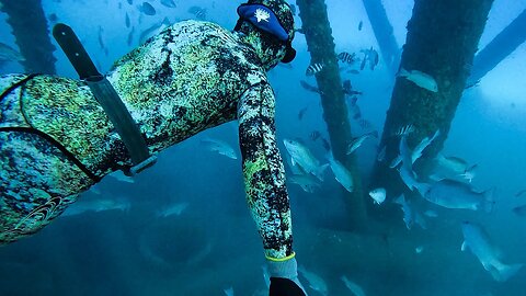 Spearfishing Offshore Oil Rigs Snapper Haven in Crystal Clear Water || Gulf of Mexico