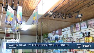 Water quality affecting Southwest Florida businesses