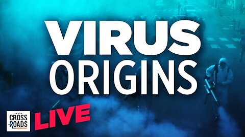 Live Q&A: WHO Report On Virus Origins Raises Calls for Lab Origin Investigation | Crossroads