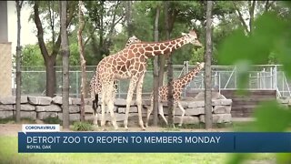 Detroit Zoo to reopen for members only on June 8