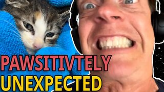 Pawsitivtely Unexpected 😹 Jim Breuer's Breuniverse Podcast #85 Clip