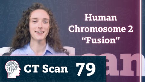 Is your second chromosome evidence for evolution? (CT Scan, Episode 79)