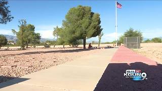 An American flag was stolen from a local pet cemetery above WWII veteran headstones