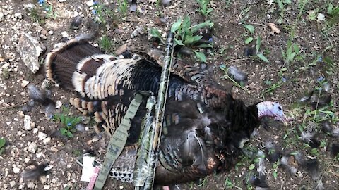 Successful family spring turkey hunt and campout 2020