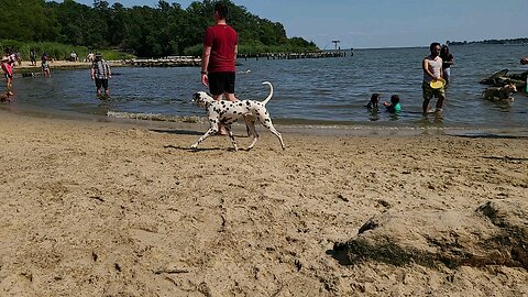 LUna at Quiet Water Beach in Maryland