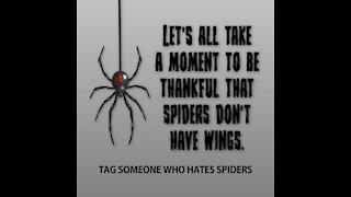 Spiders don't have wings [GMG Originals]