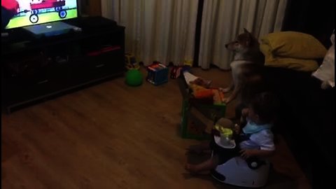 Shiba Inu & toddler enjoy pizza and movies together