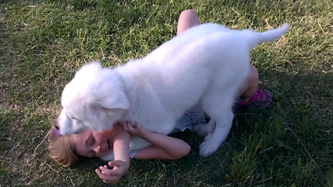 Big Puppy Wrestles A Little Girl At The Dog Park