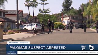 Palomar suspect arrested