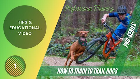 TRAIL DOG TRAINING - ON HOW TO TRAIN TRAIL DOGS