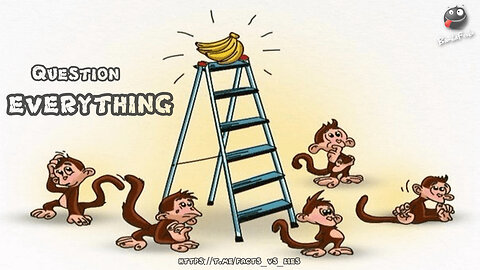 Do NOT be like a Monkey! - Question EVERYTHING!!!