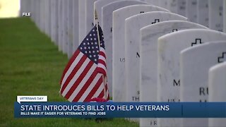 State of Michigan introduces bills to help veterans