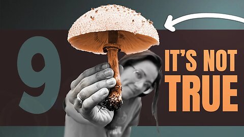 These 9 Myths About Mushrooms Are Not True - You Should Know Them