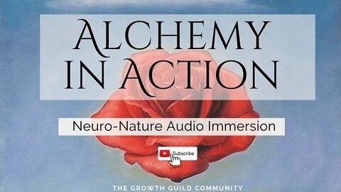 Alchemy in Action Neuro-Nature Self Hypnosis Immersion to Reflect & Reset