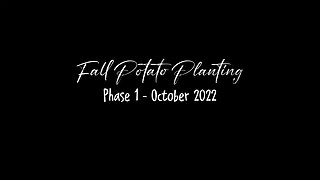 Fall Potato Planting - Phase 1