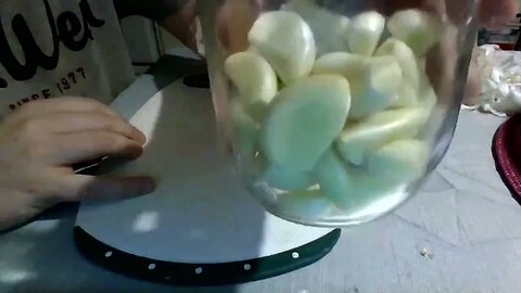 Processing Garlic for Pasta Sauce 🧄