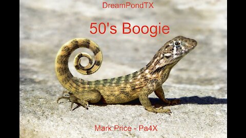 DreamPondTX/Mark Price - 50's Boogie (Pa4X at the Pond)