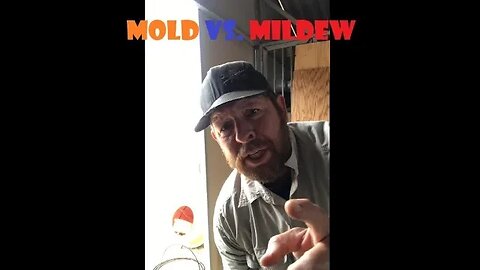 Mold vs Mildew Dresser Top | RV Laminate on Particle Board | SUPER Easy DIY Part 1