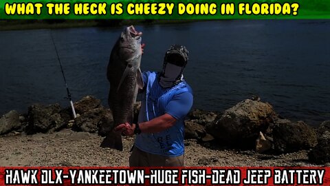 (S3 E6) Yankeetown, Florida. Huge Black Drum, dead Jeep battery, more turtle, CHEEZ CHILI