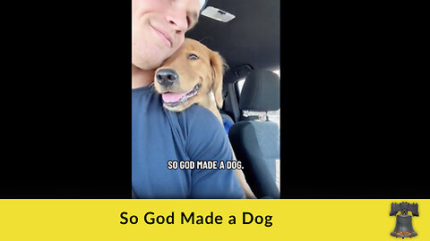 So God Made a Dog