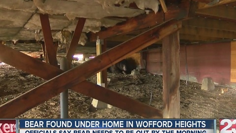 Bear found under home in Wofford heights