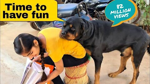 My dog is trying to irritat anshu||funny dog videos.