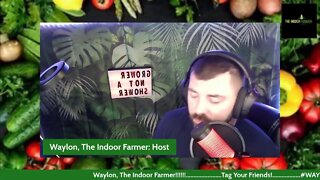 Waylon, The Indoor Farmer EP#48! Sweet Potatoes, New Clones, And My First Drying