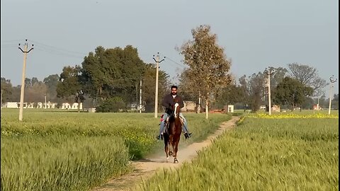Rider Sunny Salar