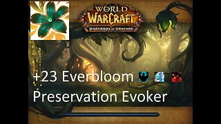 +23 Everbloom | Preservation Evoker | Fortified | Incorporeal | Sanguine | #120