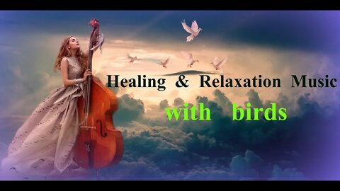 Healing & Relaxation Music with Birds chirping | 45 minutes of Postive energies |Wellness Calm Zen