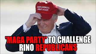 Trump wants 'MAGA PARTY' to CHALLENGE RINOS!