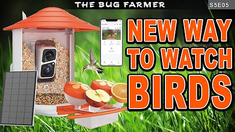 A Better Bird Feeder | Building and installing my new bird feeder #lumary #birdwatching #birdfeeder