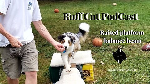 Ruff Cut PodCast .... Raised Platform and Balance Beam