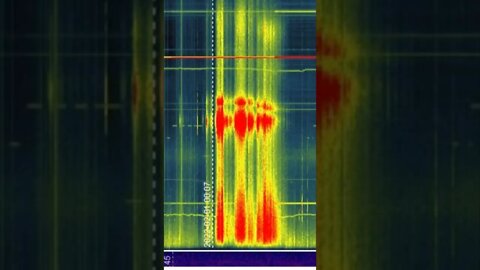 Vlf/Geomagnetic/Electromagnetic Feild monitoring station: Jan.30th-Feb.2nd 2022 "Portal Incedent"🌀🕸️