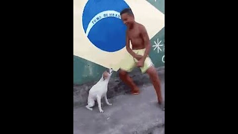 Simple Dimple pop it squish dog | Funny dancing dog 🐕