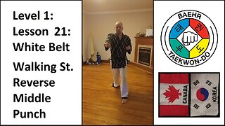 Baehr Taekwondo: 01-21: White Belt: Walking Stance - Reverse Middle Punch