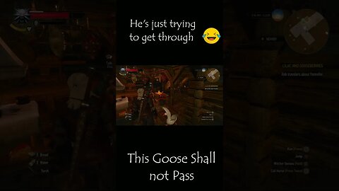 This goose is having a bad day #gaming #witcher #glitch #bug #cheapdeals #steam #witcher3