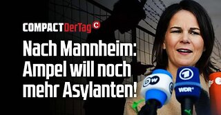 Nach Mannheim: Ampel will noch mehr Asylanten!💥