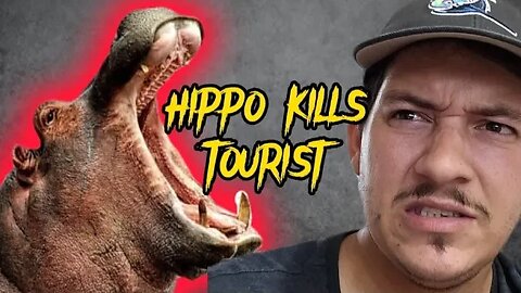 Hippo Kills Tourist at African Resort