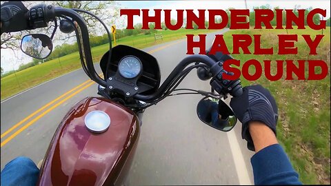 Pure Harley Davidson Muscle - NO talking | Harley Davidson Sportster Iron 1200 (RAW Engine sound)