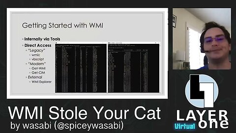 Wasabi WMI Stole Your Cat