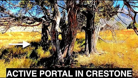 Active Portal Crestone, Shadow Beings, Plasma Dragons, Orbs, Strange Phenomena, Christopher O'Brien