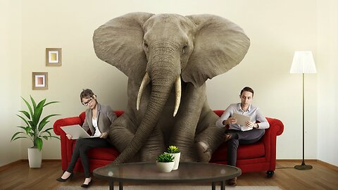 The Elephant In The Living Room