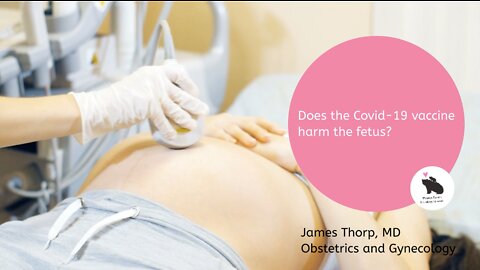 Does the Covid-19 vaccine harm the fetus?
