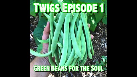 TreeWalker's Twigs Episode 1: Green Beans For the Soul