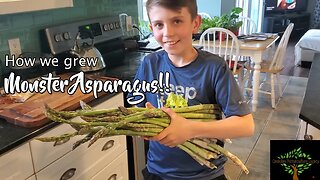 How I made monster asparagus