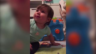 "Adorable Toddler Pretending to Read"