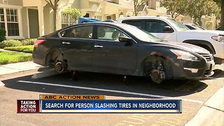 Search for person slashing tires in neighborhood