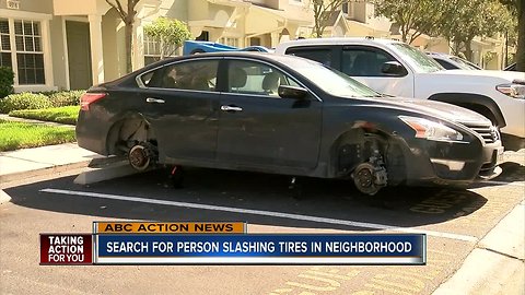 Search for person slashing tires in neighborhood