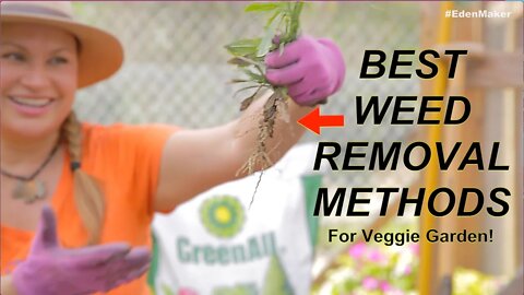BEST Weed Removal Methods for Weeds in Veggie Garden! (Foodie Gardener)